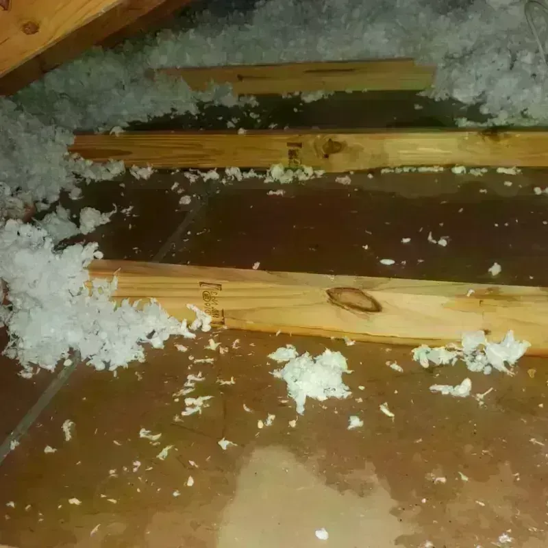 Attic Water Damage in Montgomery County, TN