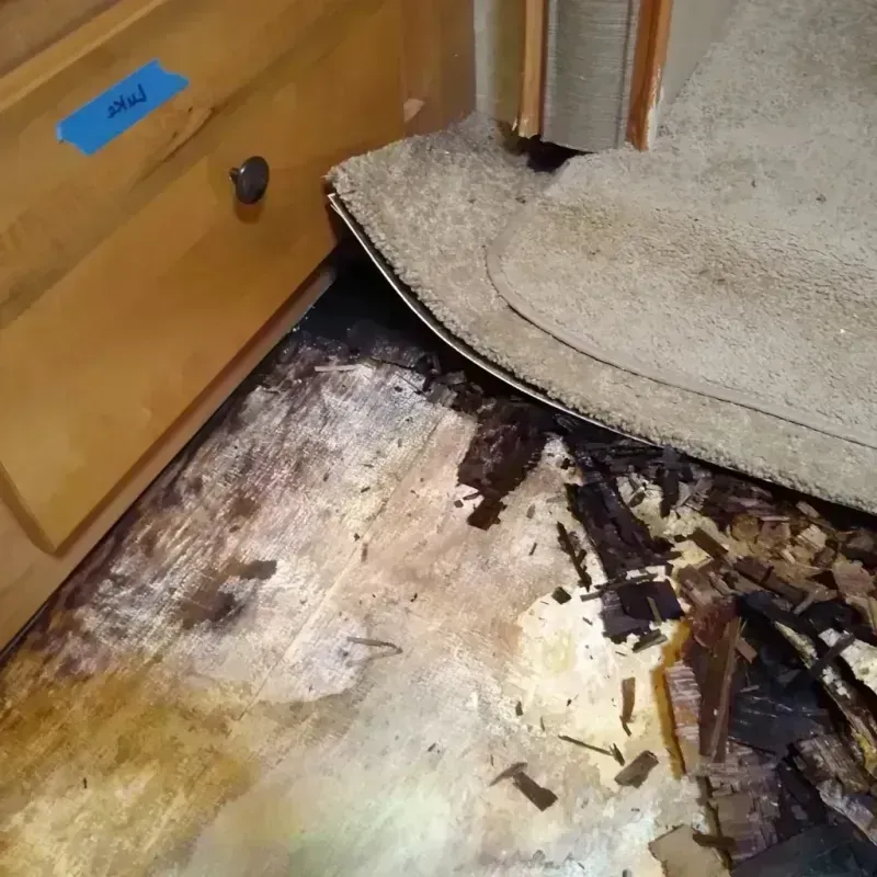 Best Wood Floor Water Damage Service in Montgomery County, TN